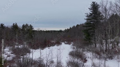 Aerial view featuring the woods around the Bellamy Reservoir in Madbury, New Hampshire