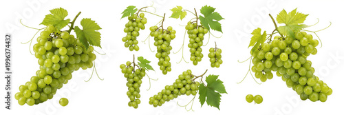 Set and collection of green grapes bunch isolated on white transparent png background
