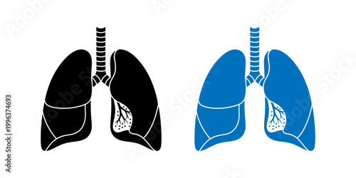 Anatomical illustration of human lungs black and blue detailed depiction
