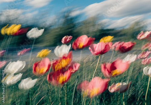 flowers moving in the wind with a dreamy, layered effect