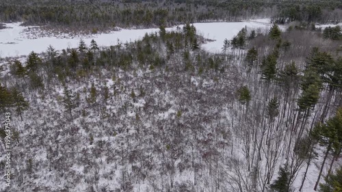 Aerial view featuring the woods around the Bellamy Reservoir in Madbury, New Hampshire
