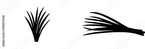 A striking photorealistic image of a solitary Wheatgrass bundle, showcasing its vibrant green blades against a pristine white backdrop