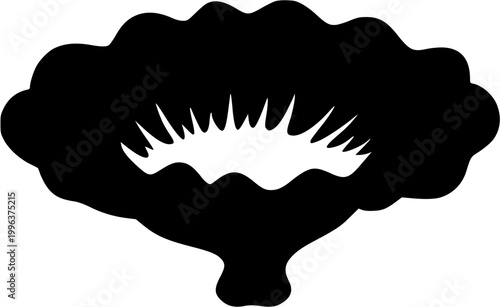 A solitary Artists Conk fungus displays its hard, woody surface with ridges and a pristine white underside against a stark white background