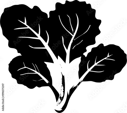 A photorealistic macro shot of a Poppy sprout showcases its deeply lobed, fuzzy leaves in pale sage-green against a pure white background