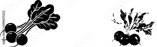 A trio of crisp red radishes with their vibrant green tops and delicate taproots are beautifully captured in this photorealistic image, set against a pristine white background under soft studio