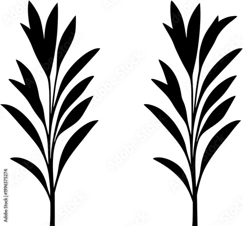 A striking photorealistic image captures a solitary Curry Plant shrub with its silvery, linear leaves emitting a distinct curry scent, set against an immaculate white background