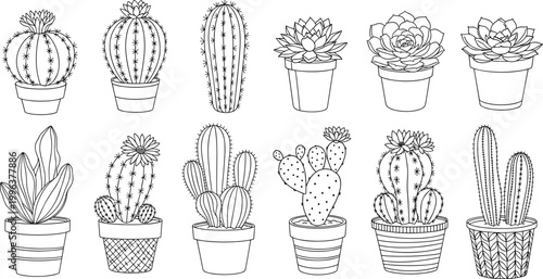 Minimalist Hand-Drawn Cactus and Succulent Vector Set Featuring Potted Barrel Cactus Saguaro and Echeveria for Modern Botanical Branding and Artisanal Home Decor