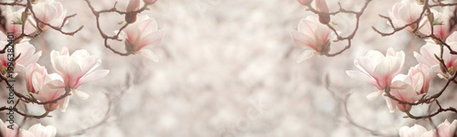 Magnolia flowers template, spring fairy tale blooming garden on mysterious floral light background with copy space, park landscape symmetric banner toned in soft pastel retro colors, calm nature.