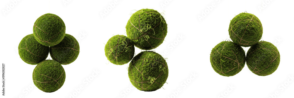 Obraz premium Set of Three Decorative Green Moss Balls Isolated on White Background, PNG