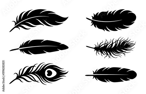 Bild auf Leinwand Black Feather Silhouettes Collection, Diverse Ornithological Elements, Delicate
