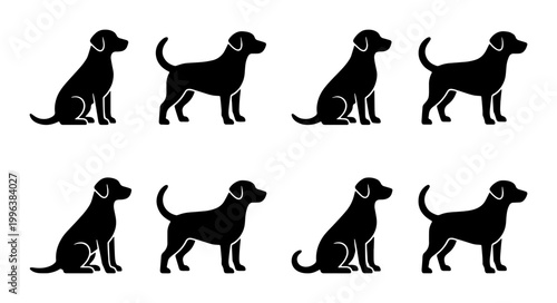 Black Labrador dog silhouettes set, 8 labrador retriever vector icons in sitting and standing poses, pet animal profile graphics for logos