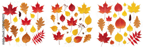 фотографія Vibrant Red and Orange Autumn Maple Leaves PNG Set Isolated on White Background for Seasonal Decoration, Nature Foliage, Realistic Plant Texture Graphic Design Assets