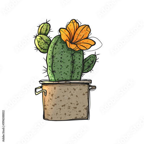 Watercolor Style Vector Blooming Prickly Pear Cactus Orange Flower Metal Pot Hand Drawn