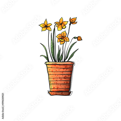 Watercolor Style Vector Daffodil Narcissus Flowers Orange Terracotta Striped Pot Hand Drawn