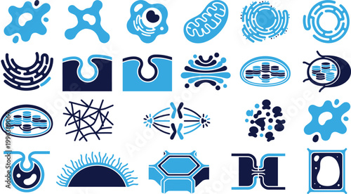 Canvas Print Cell biology icons mitochondria nucleus endoplasmic reticulum cell division plant animal cell structures