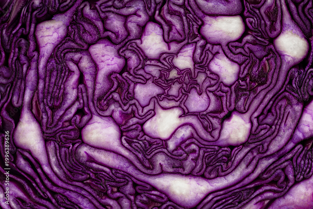 Obraz premium Half of fresh red cabbage texture, as background. Healthy food, fresh vegetables.