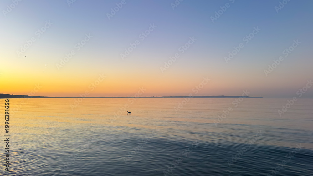 Fototapeta premium Lone bird floating on calm sea water at sunset. Peaceful ocean surface under a golden sky.