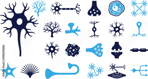 Collection of stylized illustrations depicting various types of neurons and brain cells.