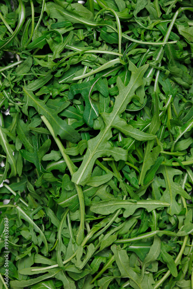 Fototapeta premium Fresh arugula leaves texture full frame Green rocket salad background close up Arugula leaves as natural food texture