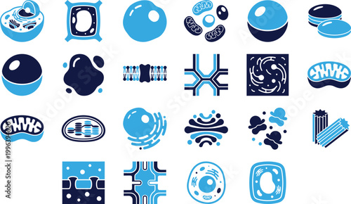 Set of blue and dark blue scientific cell and organelle icons for biology education.