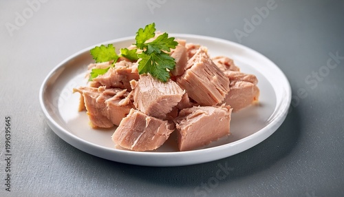 canned tuna chunks on a white plate
