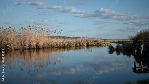 Serene River Flowing Through Tall Golden Reeds with Blue Sky and White Clouds Reflecting on Calm Water, Capturing the Tranquil Beauty of Nature in a Peaceful Landscape