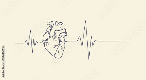 Anatomical Human Heart Continuous Line Art Illustration with Heartbeat EKG Pulse Rhythm Graphic.