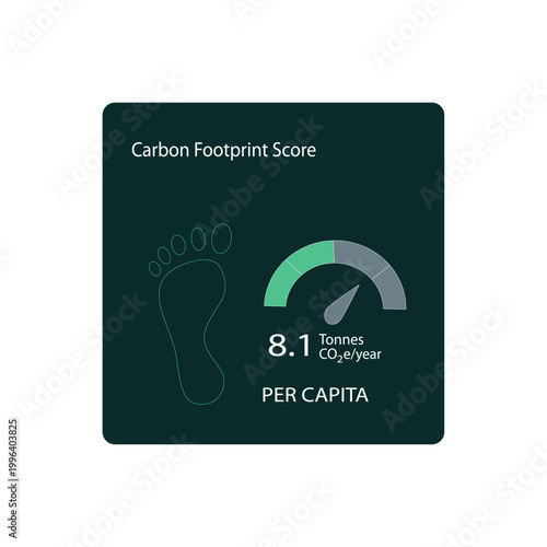 Dashboard UI card with carbon footprint icon and gauge showing CO2 emissions per capita in sustainability analytics interface