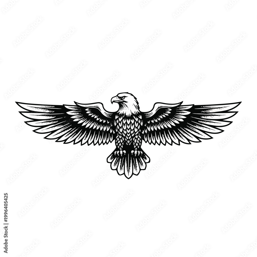 Obraz premium American Bald Eagle in Flight Spread.