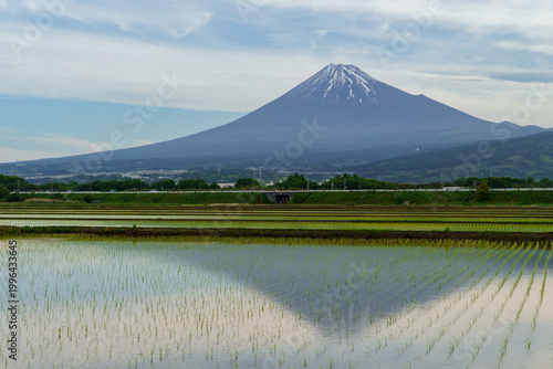Mount Fuji reflected in a freshly planted rice paddy during the spring planting season in Fuji City, Shizuoka, Japan.