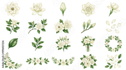 Elegant white rose botanical vector set with flowers, buds, leaves, wreaths, garlands, borders and delicate floral wedding design elements