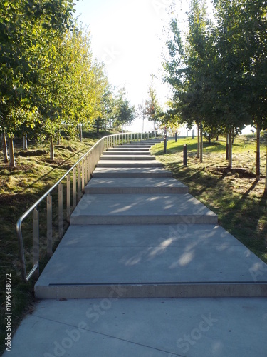 Wide concrete steps with a modern metal railing lead upward through a park bordered by young, slender trees.