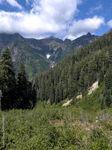 Enchanted valley