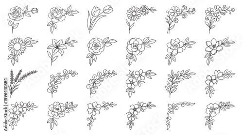 Minimal floral outline vector collection with wildflowers, daisies, leaves, stems, bouquets, branches and delicate botanical line art elements.