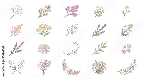 Soft wildflower botanical collection with pastel flowers, leaves, branches, wreaths and delicate floral arrangements for wedding and natural design