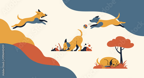 Group of cute playful dogs in various activities.