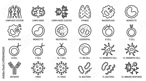 Line art icons depicting components of the human immune system, various immune cells, antibodies, and different types of microorganisms like viruses and bacteria.