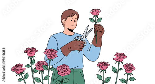 Gardener with gloves cutting pink roses with shears vector illustration