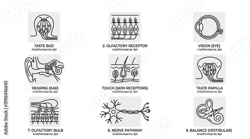 Set of human skeletal system and joint anatomy icons including femur, spine, skull, rib-cage, and various bone structures.