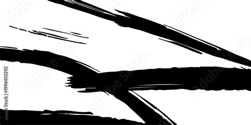 abstract black set ink splatter burst paint splash chaotic starburst shape dynamic grunge texture.