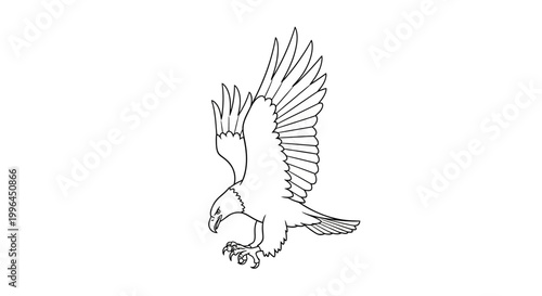 Majestic Eagle in Flight - A Detailed Line Art Illustration.