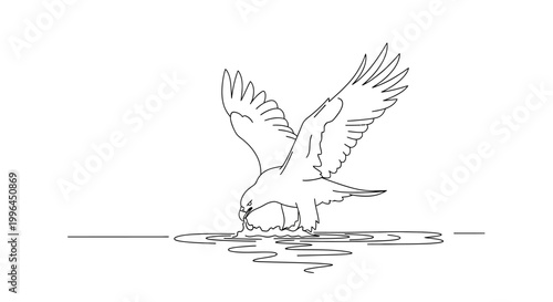 Majestic Eagle in Flight - A Line Drawing Depicting Freedom.