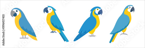Vector illustration featuring four brightly colored cartoon parrots, specifically blue and yellow macaws