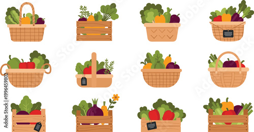 Fresh Vegetables Basket and Crate Vector Set with Organic Produce Carrots Greens Tomatoes and Farm Market Food Collection for Healthy Design