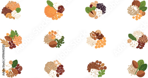 Healthy Plant Based Protein Vector Set with Beans Lentils Nuts Seeds and Organic Food Ingredients for Vegan Nutrition and Diet Design