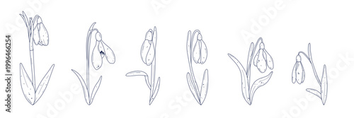 Hand drawn snowdrop flower set. Editable stroke elements. Different vector spring symbols isolated on white background