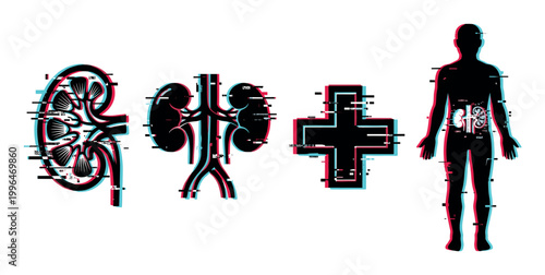Kidney human anatomy medical illustration with digital glitch effect showing organ health and body systems for healthcare concepts.