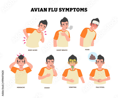Avian flu symptoms poster design with man body aches, short breath, fever headache cough vomiting and pale stool. Medical science educational illustration. contagious viral disease from birds.