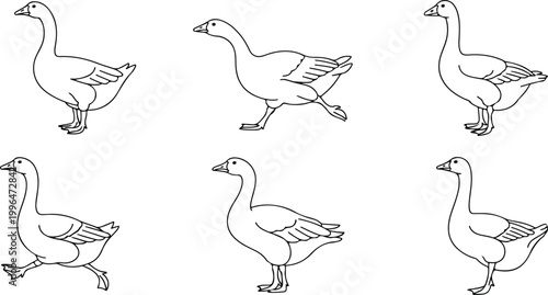 Majestic goose line art mega collection elegant bird outline set for logo and design vector illustration