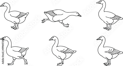 Majestic goose line art mega collection elegant bird outline set for logo and design vector illustration